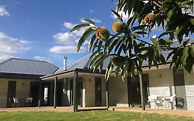 3 Bells Alpine Cottage